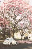 /album/like-ha-tetszik-es-jonnek-az-ujak-d/alap-16-png/